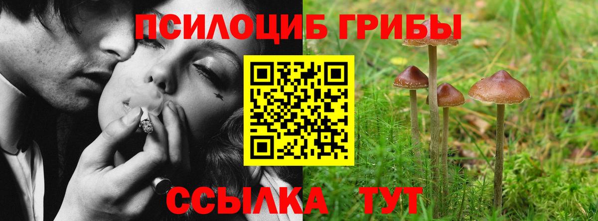 Псилоцибиновые грибы прущие грибы Волгоград