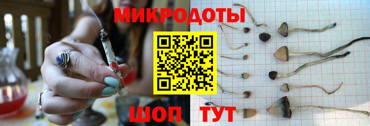 Галлюциногенные грибы GOLDEN TEACHER  Вход с VPN  Волгоград  Псилоцибиновые грибы прущие грибы 